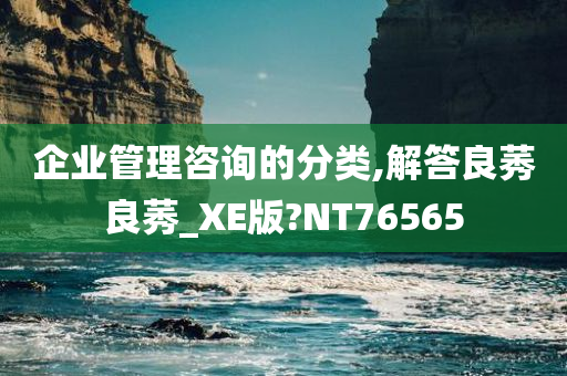 企业管理咨询的分类,解答良莠良莠_XE版?NT76565