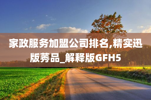 家政服务加盟公司排名,精实迅版莠品_解释版GFH5