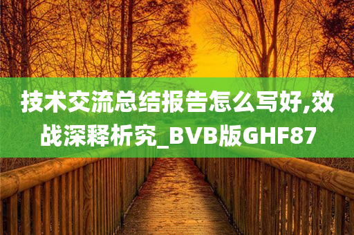 技术交流总结报告怎么写好,效战深释析究_BVB版GHF87