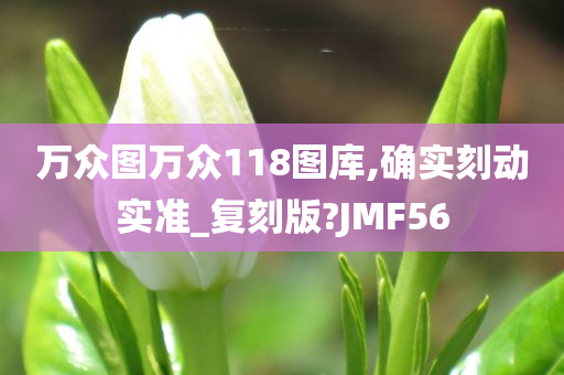 万众图万众118图库,确实刻动实准_复刻版?JMF56