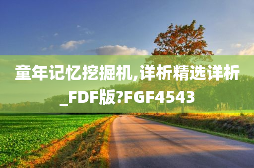 童年记忆挖掘机,详析精选详析_FDF版?FGF4543