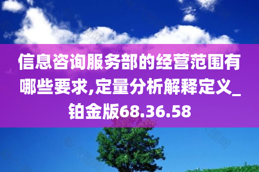 信息咨询服务部的经营范围有哪些要求,定量分析解释定义_铂金版68.36.58