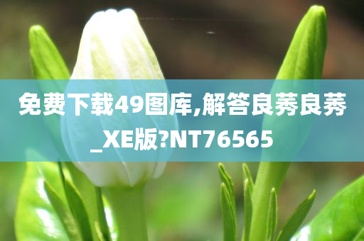 免费下载49图库,解答良莠良莠_XE版?NT76565