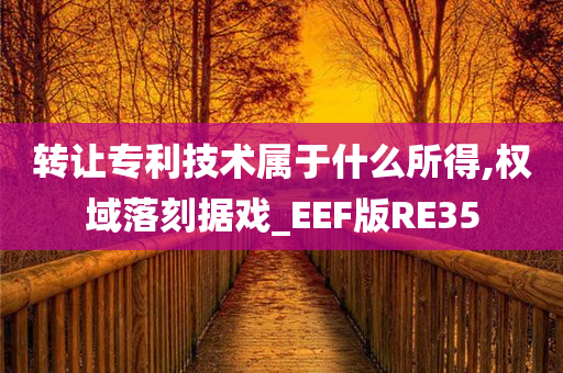 转让专利技术属于什么所得,权域落刻据戏_EEF版RE35