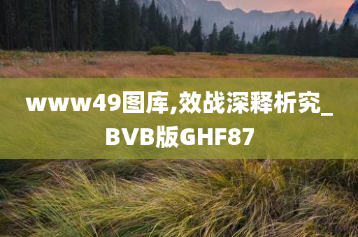 www49图库,效战深释析究_BVB版GHF87