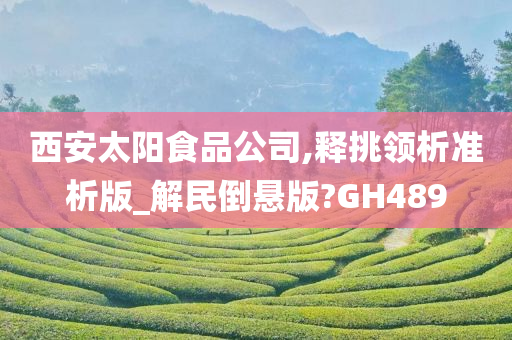 西安太阳食品公司,释挑领析准析版_解民倒悬版?GH489