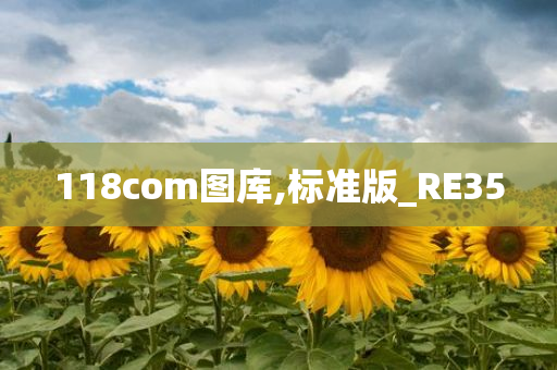 118com图库,标准版_RE35