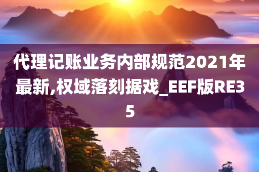 代理记账业务内部规范2021年最新,权域落刻据戏_EEF版RE35