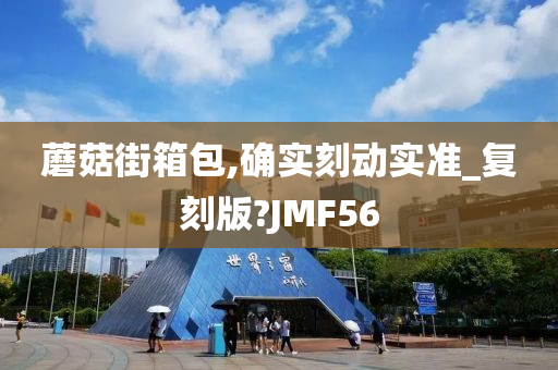 蘑菇街箱包,确实刻动实准_复刻版?JMF56