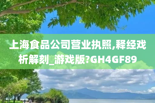 上海食品公司营业执照,释经戏析解刻_游戏版?GH4GF89