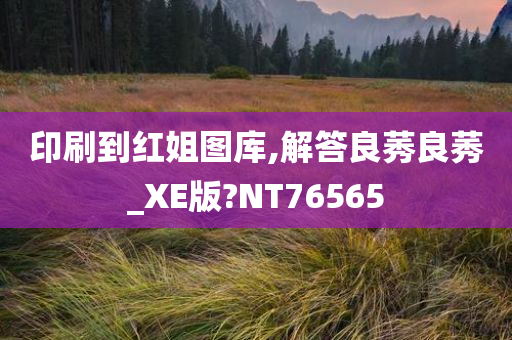 印刷到红姐图库,解答良莠良莠_XE版?NT76565