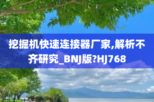 挖掘机快速连接器厂家,解析不齐研究_BNJ版?HJ768