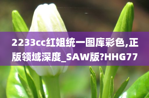 2233cc红姐统一图库彩色,正版领域深度_SAW版?HHG77