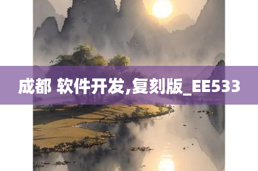 成都 软件开发,复刻版_EE533