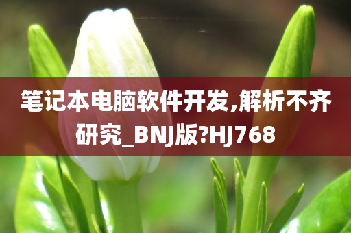 笔记本电脑软件开发,解析不齐研究_BNJ版?HJ768