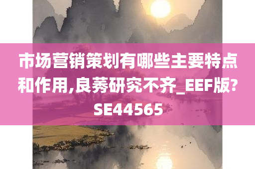 市场营销策划有哪些主要特点和作用,良莠研究不齐_EEF版?SE44565