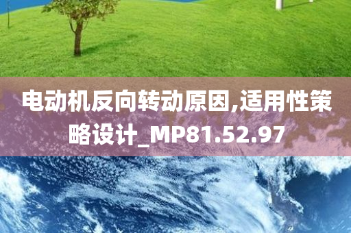 电动机反向转动原因,适用性策略设计_MP81.52.97