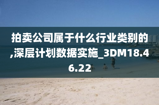 拍卖公司属于什么行业类别的,深层计划数据实施_3DM18.46.22