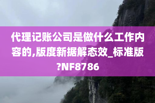 代理记账公司是做什么工作内容的,版度新据解态效_标准版?NF8786