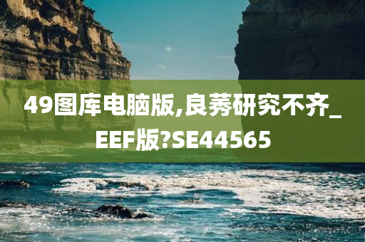 49图库电脑版,良莠研究不齐_EEF版?SE44565