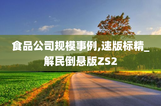 食品公司规模事例,速版标精_解民倒悬版ZS2