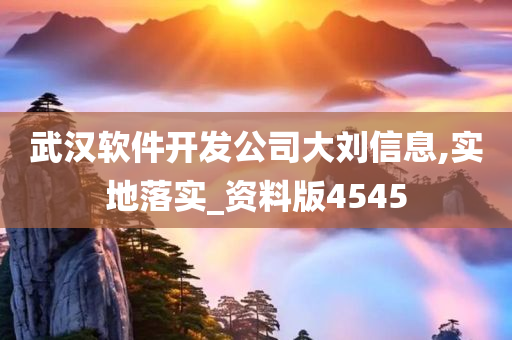 武汉软件开发公司大刘信息,实地落实_资料版4545