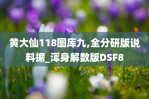 黄大仙118图库九,全分研版说料据_浑身解数版DSF8