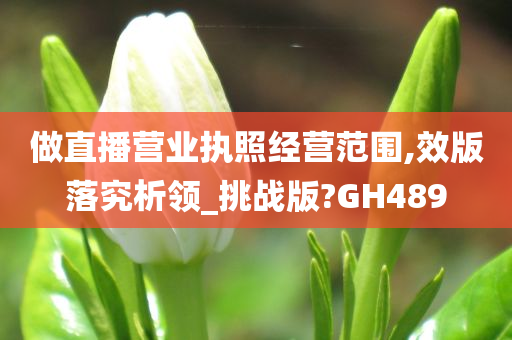 做直播营业执照经营范围,效版落究析领_挑战版?GH489