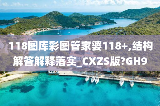 118图库彩图管家婆118+,结构解答解释落实_CXZS版?GH9