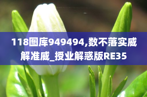 118图库949494,数不落实威解准威_授业解惑版RE35