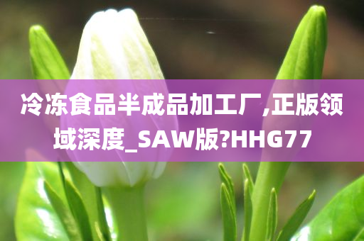 冷冻食品半成品加工厂,正版领域深度_SAW版?HHG77