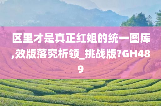 区里才是真正红姐的统一图库,效版落究析领_挑战版?GH489