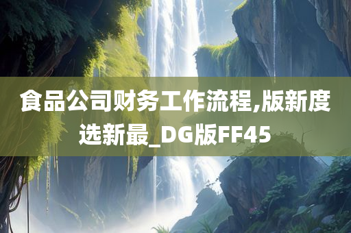 食品公司财务工作流程,版新度选新最_DG版FF45