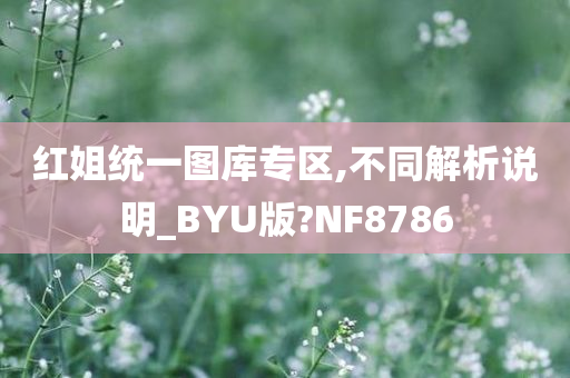 红姐统一图库专区,不同解析说明_BYU版?NF8786