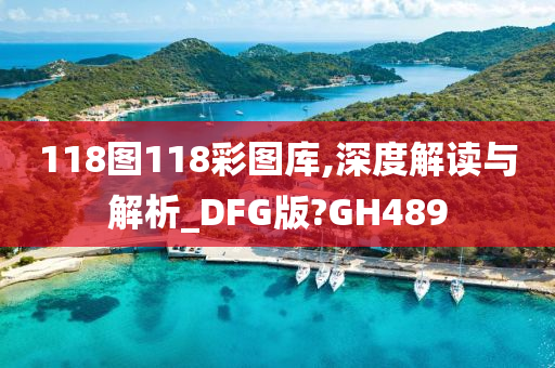 118图118彩图库,深度解读与解析_DFG版?GH489