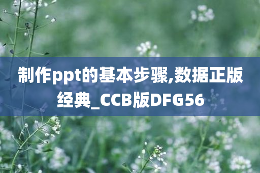 制作ppt的基本步骤,数据正版经典_CCB版DFG56