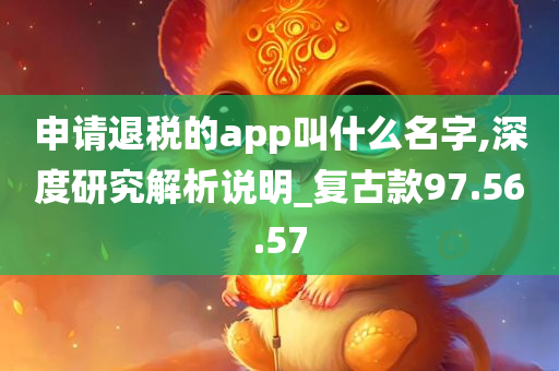 申请退税的app叫什么名字,深度研究解析说明_复古款97.56.57