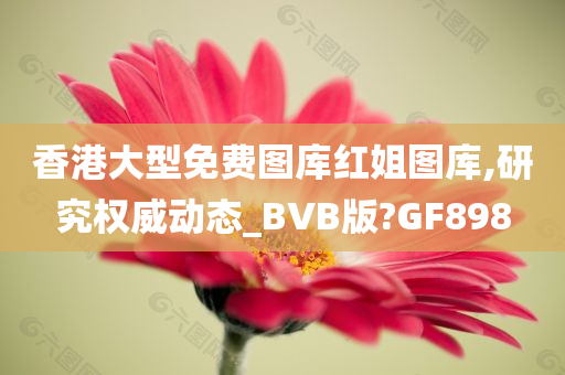 香港大型免费图库红姐图库,研究权威动态_BVB版?GF898