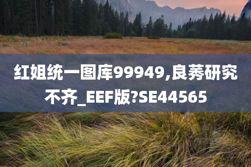 红姐统一图库99949,良莠研究不齐_EEF版?SE44565