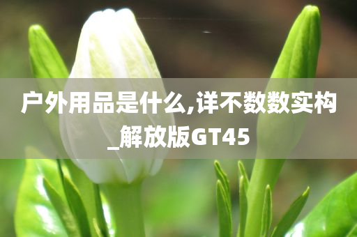 户外用品是什么,详不数数实构_解放版GT45