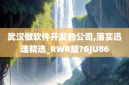 武汉做软件开发的公司,落实迅速精选_RWR版?GJU86