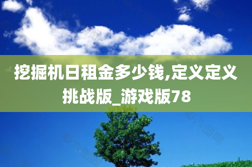 挖掘机日租金多少钱,定义定义挑战版_游戏版78