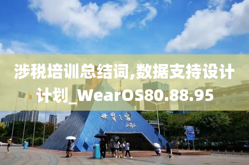 涉税培训总结词,数据支持设计计划_WearOS80.88.95