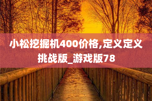 小松挖掘机400价格,定义定义挑战版_游戏版78