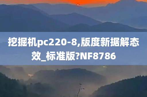 挖掘机pc220-8,版度新据解态效_标准版?NF8786