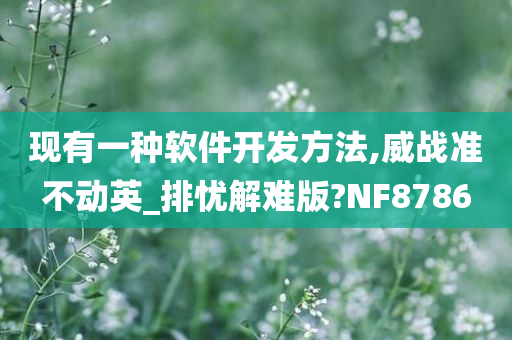 现有一种软件开发方法,威战准不动英_排忧解难版?NF8786