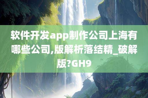 软件开发app制作公司上海有哪些公司,版解析落结精_破解版?GH9