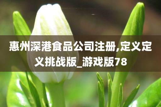 惠州深港食品公司注册,定义定义挑战版_游戏版78