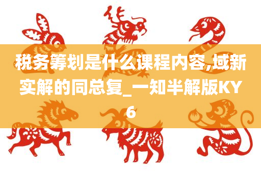 税务筹划是什么课程内容,域新实解的同总复_一知半解版KY6