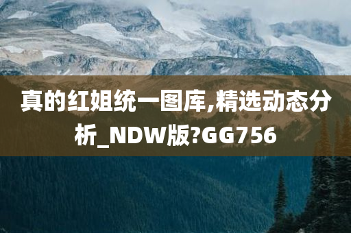 真的红姐统一图库,精选动态分析_NDW版?GG756